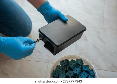 Profissional instalando iscas para desratização